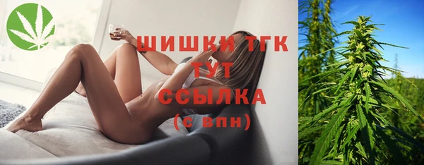 МДПВ Абинск