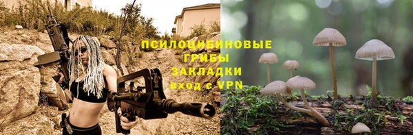 МДПВ Абинск