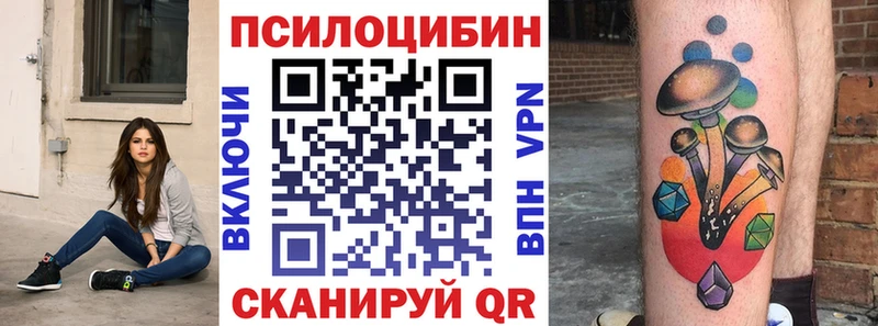Псилоцибиновые грибы Psilocybine cubensis  Гагарин 